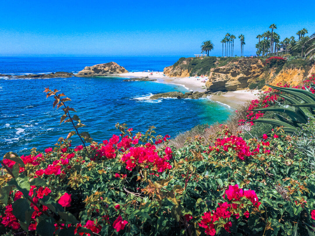 Fun Things to Do in Orange County by a Local